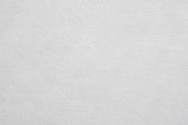Best Basement Mold Removal  in Hunters Creek Village, TX