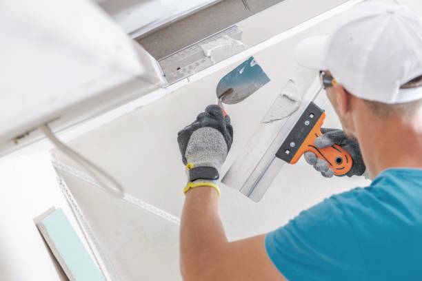 Best Emergency Mold Remediation  in Hunters Creek Village, TX